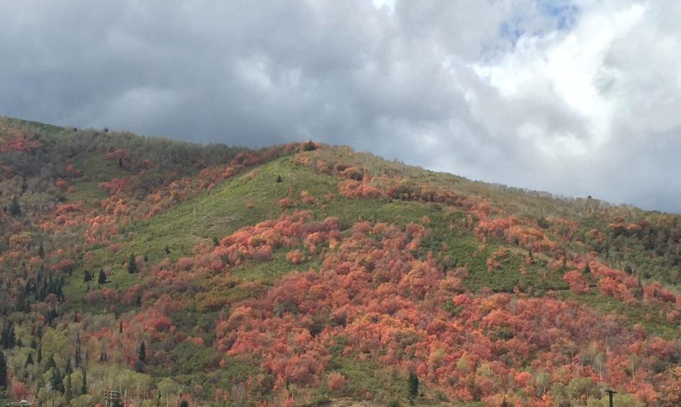 Sierra mountain from Highway 88 in 2017.