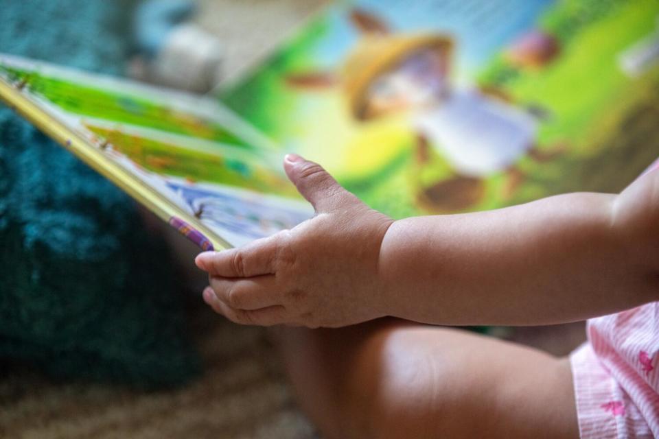 A toddler holds a picture book in her hands.