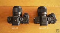 <p>Sony A1 review: The Alpha of mirrorless cameras</p> 