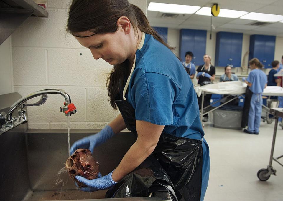 The lessons medical students learn from donor bodies go beyond anatomy. <a href="https://www.gettyimages.com/detail/news-photo/liz-harkin-uses-a-running-tap-to-clean-out-a-human-heart-news-photo/145376204?adppopup=true" rel="nofollow noopener" target="_blank" data-ylk="slk:Bill O'Leary/The Washington Post via Getty Images;elm:context_link;itc:0;sec:content-canvas" class="link ">Bill O'Leary/The Washington Post via Getty Images</a>