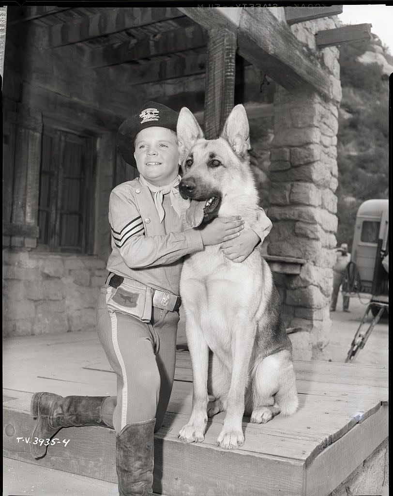 Rin Tin Tin in 'The Adventures of Rin Tin Tin'