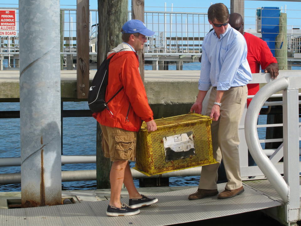 A mesh container holding a case of wine that was submerged for three months in Charleston Harbor is lifted onto a dock in Charleston, S.C., on Tuesday, May 21. Divers on Tuesday recovered four cases of wine that had been submerged in the harbor by Mira Winery of St. Helena, Calif. The winery is conducting an ongoing experiment into what effect ocean aging has on wine. (AP Photo/Bruce Smith)