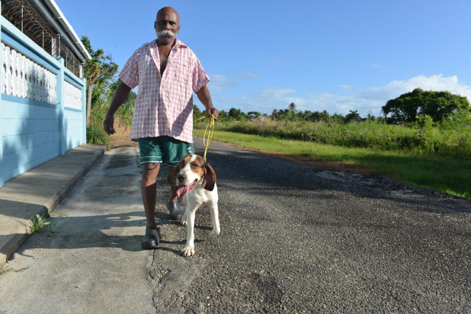 In this Dec. 31, 2013, 64-year-old hunter Francis Guelmo walks one of his hunting hounds on the outskirts of Chaguanas, Trinidad. The twin-island country of Trinidad and Tobago, at least on paper, has transformed the Caribbean nation into a no-trapping, no-hunting zone for about two years to give overexploited game animals some breathing room and to conduct wildlife surveys. Some 13,000 licensed hunters and their trained hounds are now forbidden to hunt on state lands. (AP Photo/David McFadden)