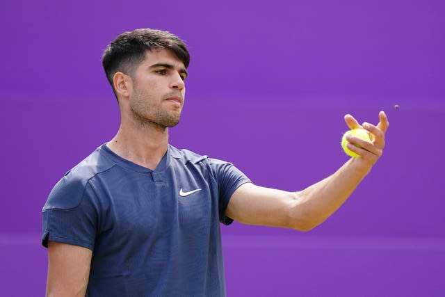 Carlos Alcaraz is distracted by an insect