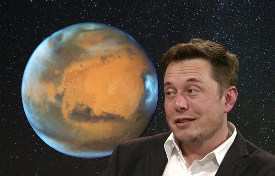 elon musk mars