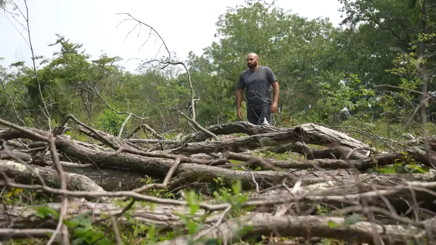 Samih Shinway recalls the day he came home to the sound of chainsaws cutting trees on his private property