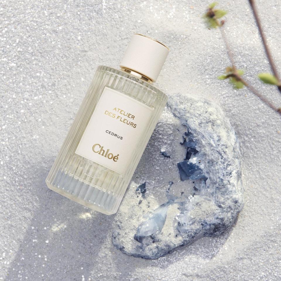 女朋友聖誕禮物2023｜Chloé Atelier des Fleurs Cedrus by Quentin Bisch $1,105/50ML、$2,030/150ML