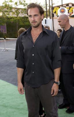 Josh Lucas at the LA premiere of Universal's The Hulk