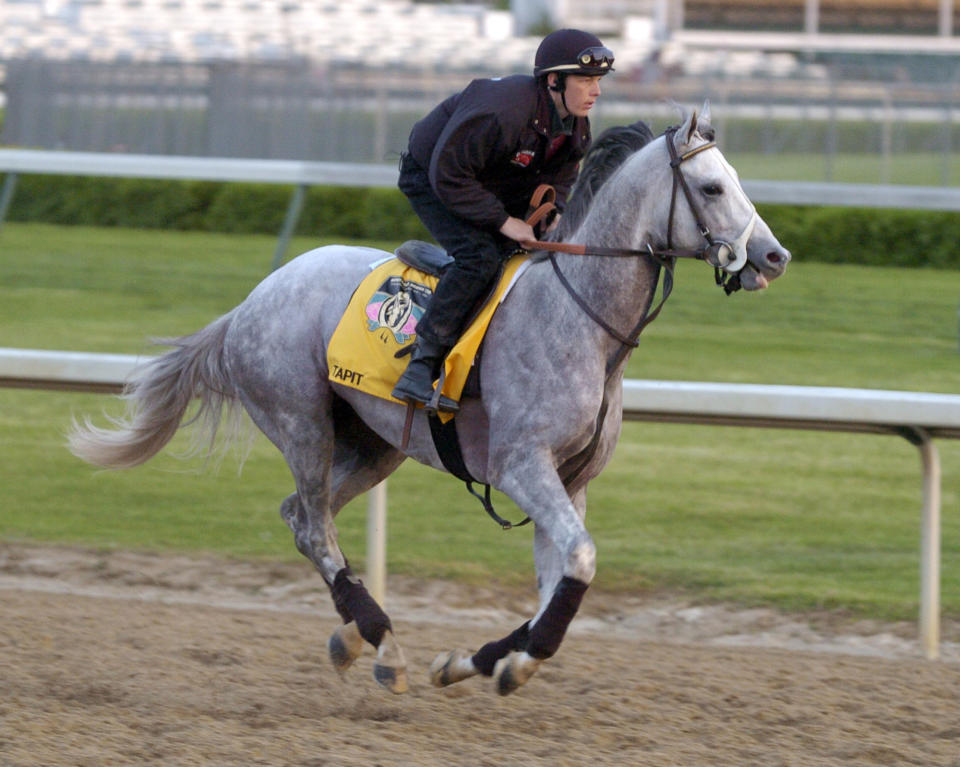 FILE - Kentucky Derby entrant Tapit, with exercise rider Jon Ferriday up, works out along the backstretch at Churchill Downs in Louisville, Ky., in this April 29, 2004, file photo. Only eight grays have won the past 90 runnings of the Kentucky Derby horse race. According to historians and experts, there are just fewer of them in the thoroughbred population compared to more traditional chestnut, bay, brown and black horses. But with light gray Tapit siring Essential Quality and others, horses of that color could be making a comeback at the elite level of racing.(AP Photo/Timothy D. Easley, File)