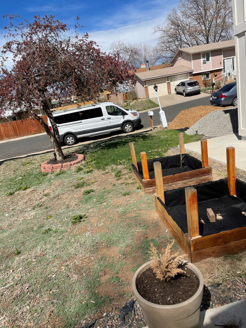 Garden beds in yard before ripping out grass.