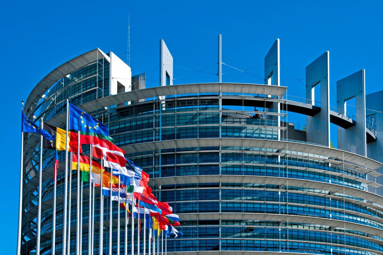 The European Parliament building in Strasbourg, where ordinary plenary sessions are held  (Getty Images)