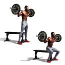 <p>Straddle the bench with a barbell on your back, feet slightly wider than shoulder- width apart (<strong>A</strong>). Push your hips back and bend at the knees, slowly squatting until you lightly touch the bench (<strong>B</strong>). Keep your torso upright and stand up explosively.<br></p>