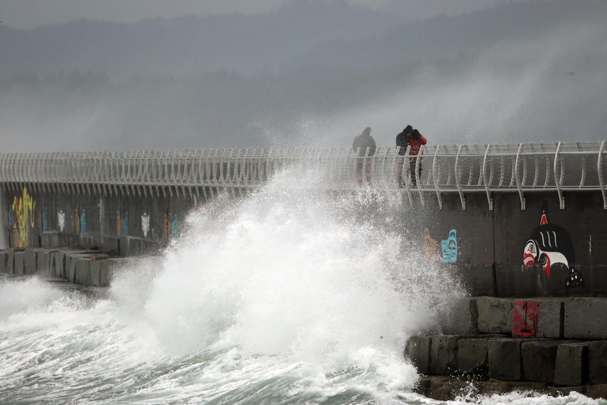 Waves pound Ogden Point breakwater in Victoria in January 2021. Environment Canada has issued weather alerts for Greater Victoria and the west coast of Vancouver Island, warning of potential ocean waves reaching up to seven metres. (The Canadian Press/Chad Hipolito - image credit)