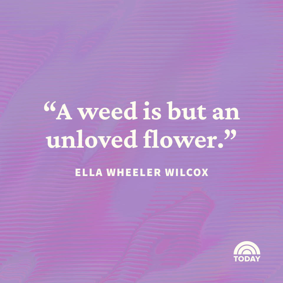 Flower Quotes