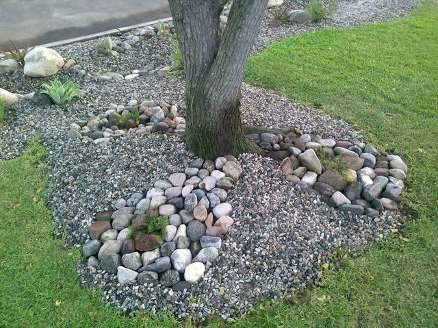 <p> Michael Romero, Succulent Designs</p> Rock and gravel landscaping under tree.