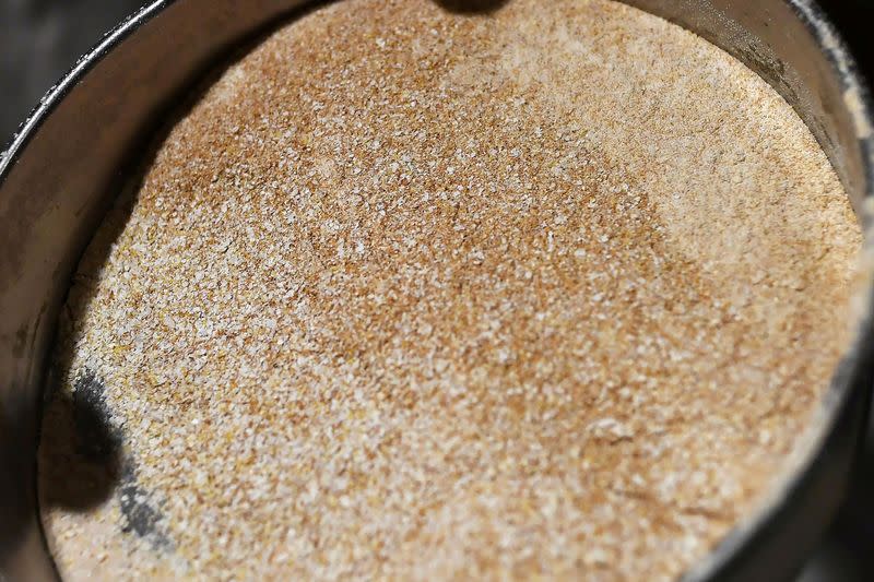 Freshly milled flour is seen inside the family run Shipton Mill in Tetbury
