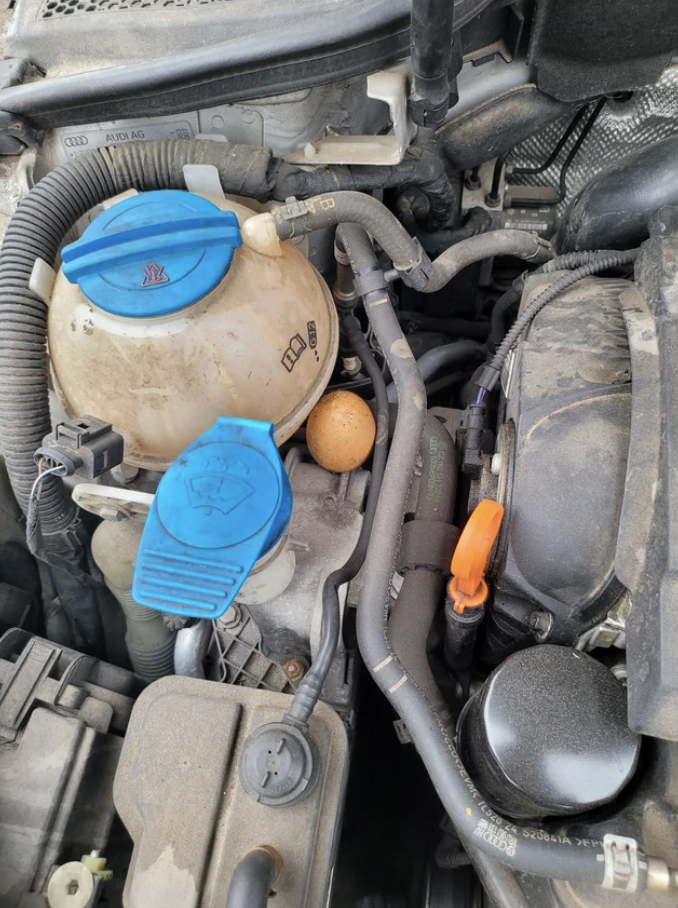 a chicken egg in a car's engine