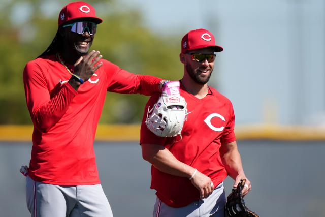 LOS ANGELES, CA - JULY 29: Cincinnati Reds designated hitter