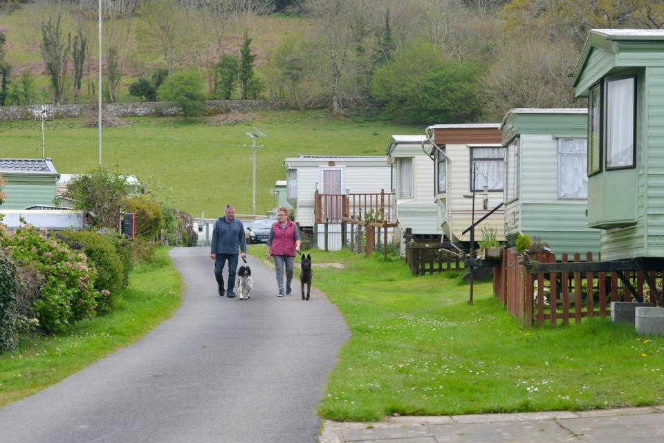 Two people walk dogs on a road with mobile homes. 