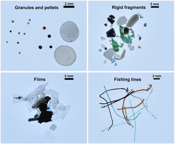 Different categories of microplastics found in the Arctic Ocean.