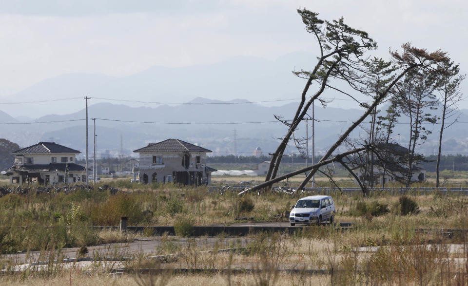 In this Oct. 9, 2012 photo, a car is parked by leaning pine trees, part of the windbreak forest severely damaged by the March 11, 2011 earthquake and tsunami, near the Arahama Beach in Sendai, northeastern Japan. Japan's accounting of its budget for reconstruction from the disasters is crammed with spending on unrelated projects, while all along Japan's northeastern coast, dozens of communities remain uncertain of whether, when and how they will rebuild. (AP Photo/Koji Sasahara)