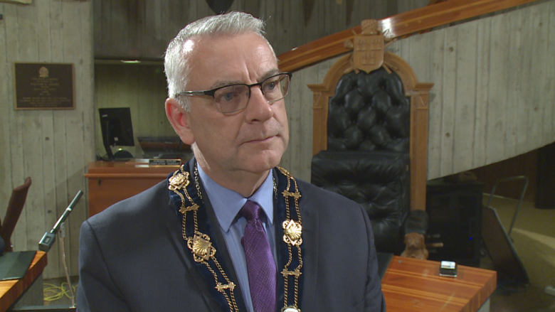 City of St. John's speaks on Danny Williams court action, mayor stands by regulations