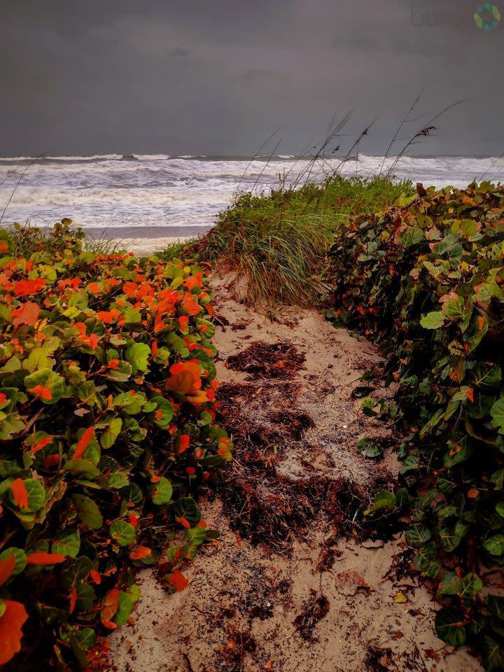 Nicole has officially reached hurricane strength as it continues approaching Florida’s east coast.