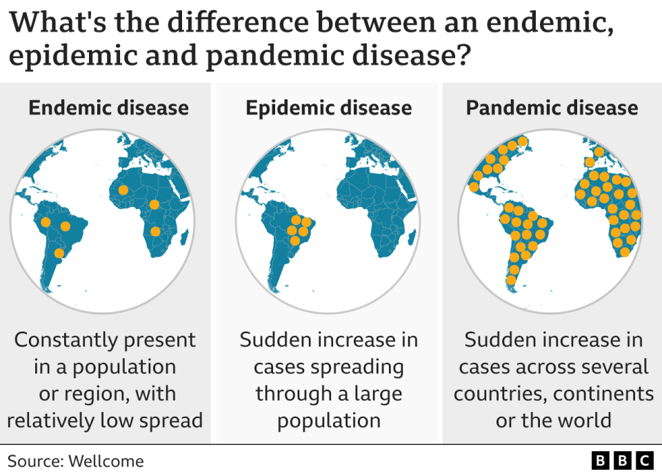 infographic showing pandemic, endemic and epidemic disease patterns