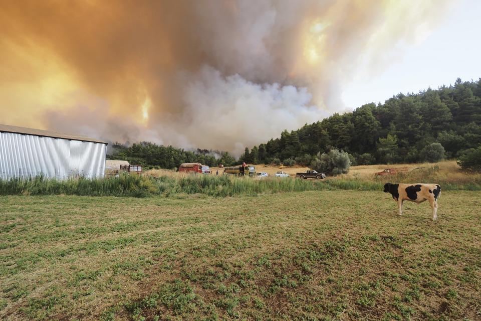 Flames burn on a mountain during a wildfire near Limni village on the island of Evia, about 160 kilometers (100 miles) north of Athens, Greece, Wednesday, Aug. 4, 2021. The European Union promised assistance Wednesday to Greece and other countries in southeast Europe grappling with huge wildfires after a blaze gutted or damaged more than 100 homes and businesses near Athens. (AP Photo/Thodoris Nikolaou)