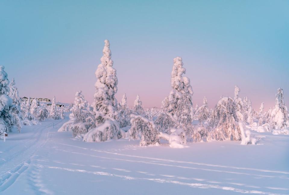 Glide through the forests of Finnish Lapland on cross-country skis (Getty Images/iStockphoto)