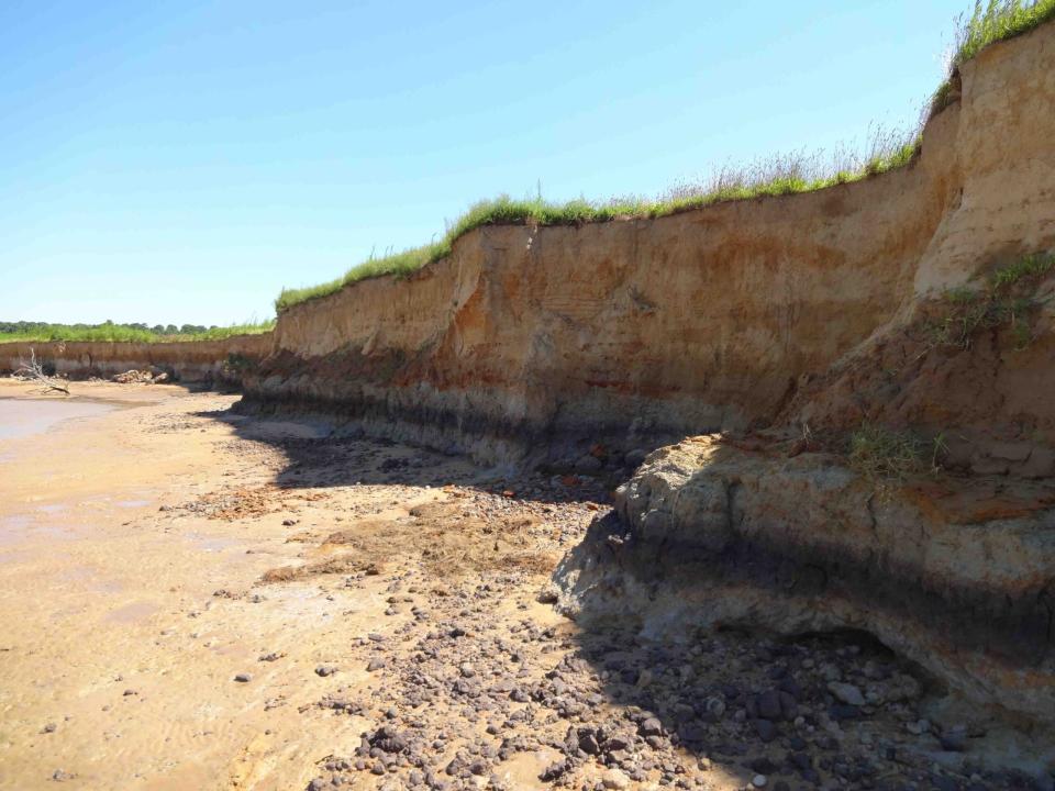 Parsons Island has undergone a lot of erosion, so many of the artifacts are no longer in their original location. - Copyright: Darrin Lowery