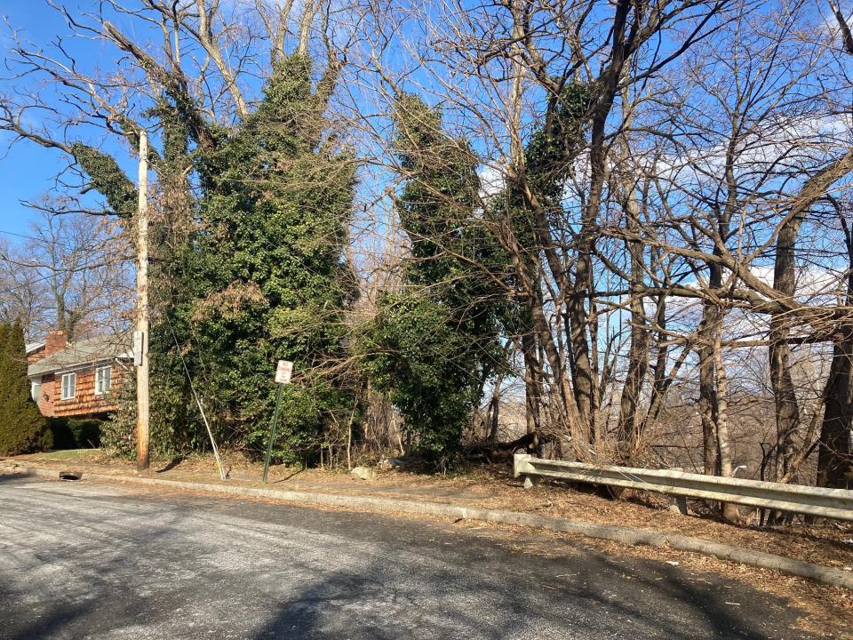 The small wooded area overlooking the Sprain Brook Parkway at the end of Rossmore Avenue in Yonkers where the body of 26-year-old Bronx resident Pamela Graddick was found on Sept. 4, 2012. She had disappeared the previous month and on Jan. 23, 2022, her girlfriend, Wanda Veguilla, was charged with second-degree murder.