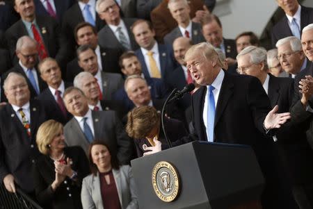 U.S. President Donald Trump celebrates with Congressional Republicans after the U.S. Congress passed sweeping tax overhaul legislation, on the South Lawn of the White House in Washington, U.S., December 20, 2017. REUTERS/Carlos Barria