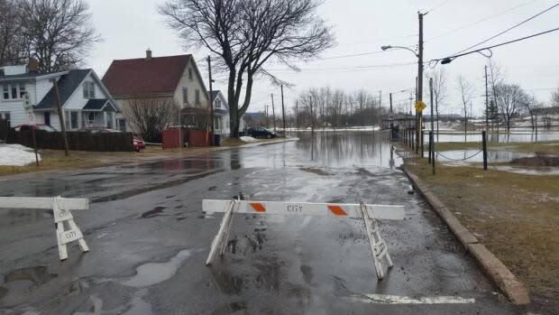 Charlottetown has 'picked up the ball', says Feltmate, when it comes to helping homeowners prevent basement flooding. 