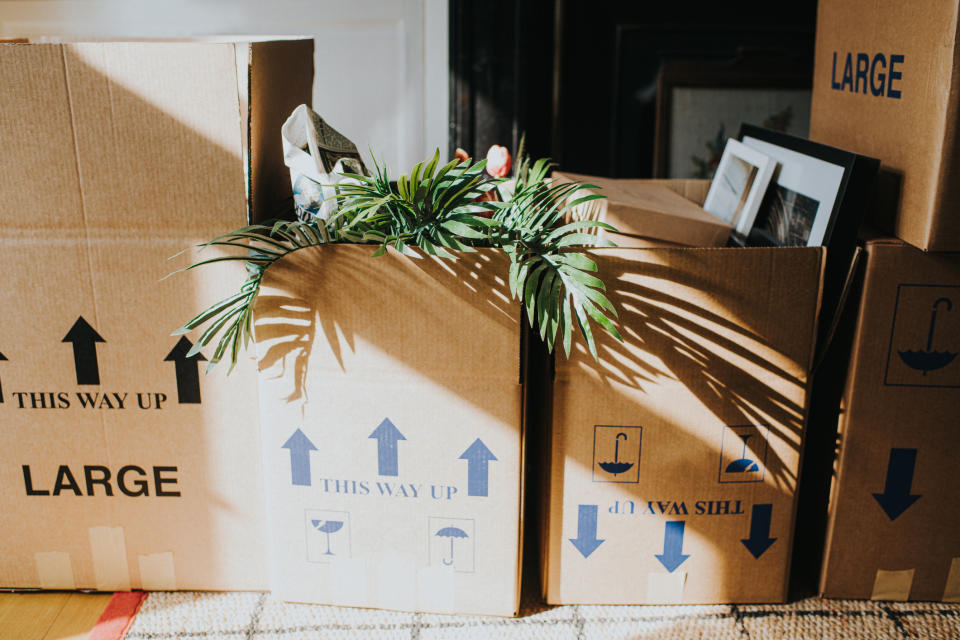 Boxes labeled "This Way Up" and "Large" are stacked with a plant and picture frames visible