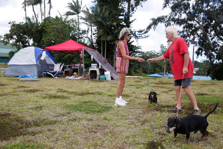 Kapoho residents Pauline and Eddie McLaren walk two of their five dogs near their tents at a Red Cross evacuation center in Pahoa during ongoing eruptions of the Kilauea Volcano in Hawaii, U.S., May 15, 2018. REUTERS/Terray Sylvester