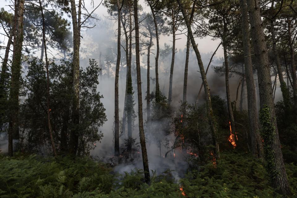 Los incendios causados por la ola de calor están provocando estragos en Francia. (Photo by THIBAUD MORITZ/AFP via Getty Images)