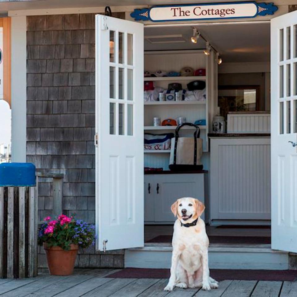 Pet Amenities: The Cottages at the Boat Basin; Nantucket, Massachusetts
