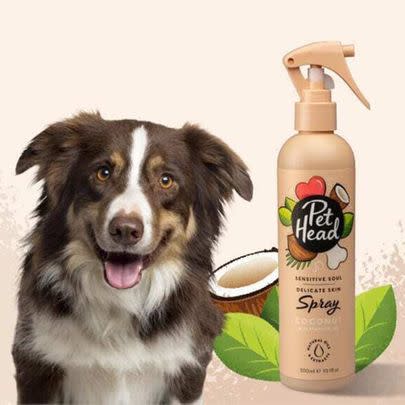 Get a cleansing scented spray to keep your pet smelling fresh