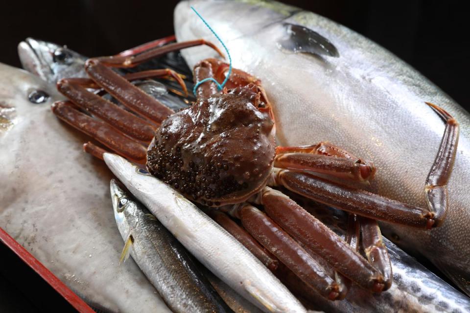 石川縣直送海鮮，包含鰤魚、馬加魚、剝皮魚、尖梭魚、鱈場蟹。