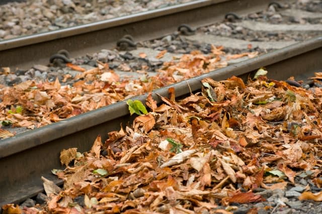 Leaves lying on a railway track in autumn in England.