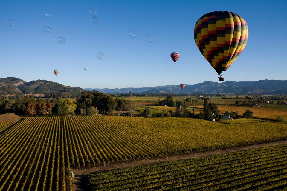 Hot air baloons over Napa