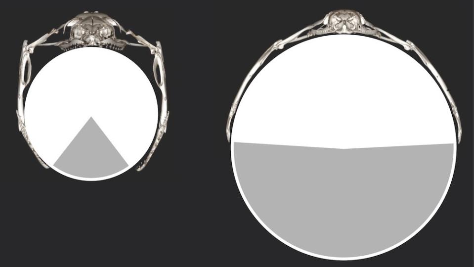 Comparison of the gape size of two species of snake, depicted with a comparison of the snake's jaw bones