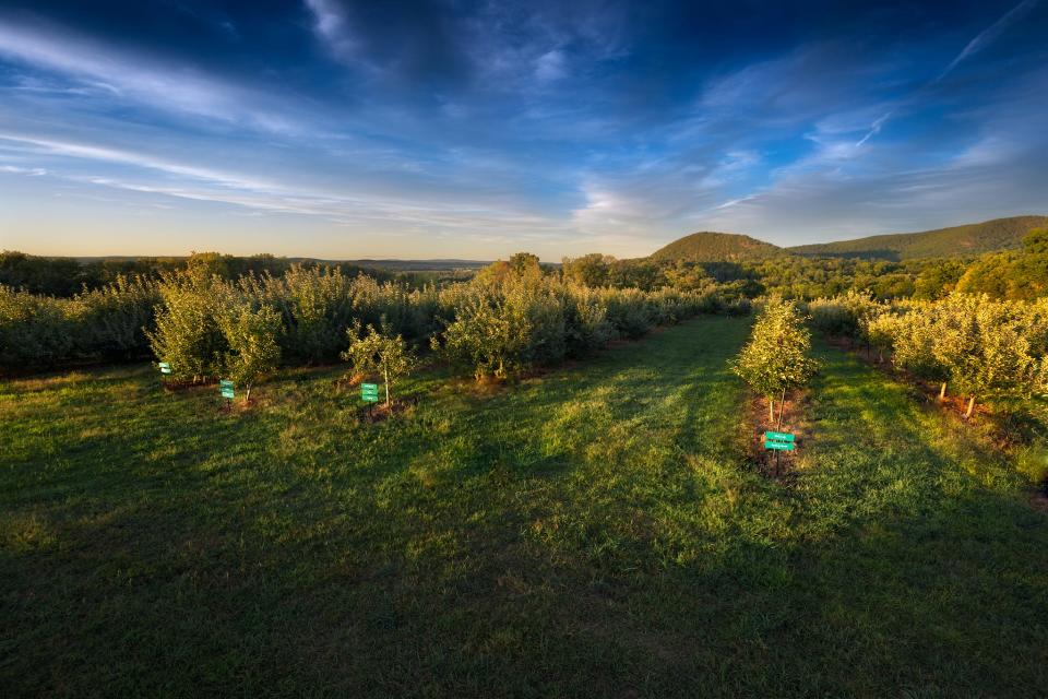 The Warwick Valley Winery in Warwick, New York, offers some great outdoor dining options, including a patio.