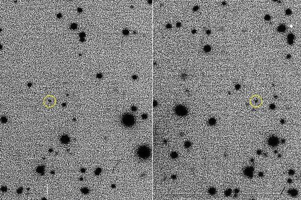 Circled in yellow is the bizarre space rock (Royal Astronomical Society)