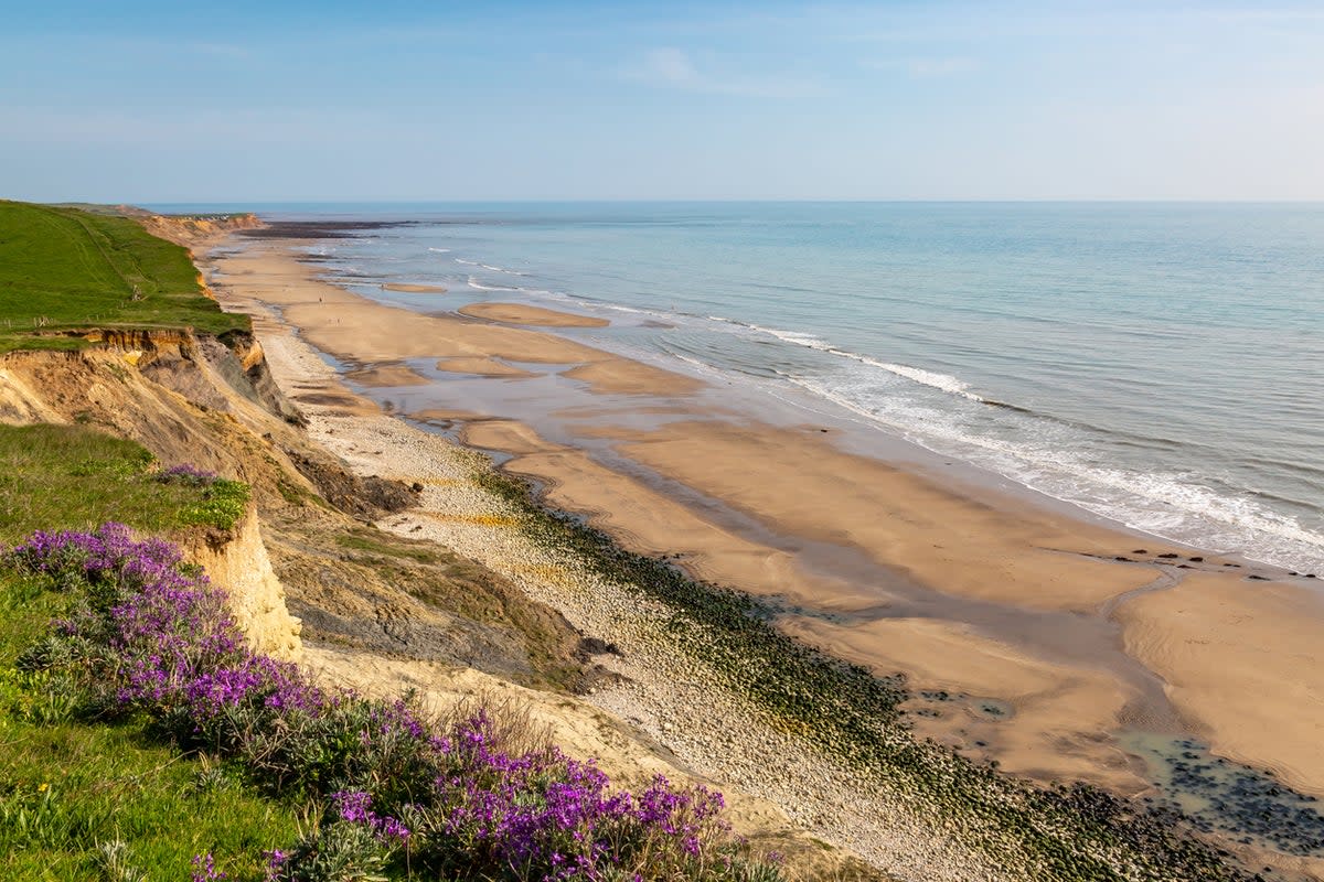 A reliable surf swells on Compton Bay – particularly during the wetsuit-wearing winter months (Getty/iStockphoto)