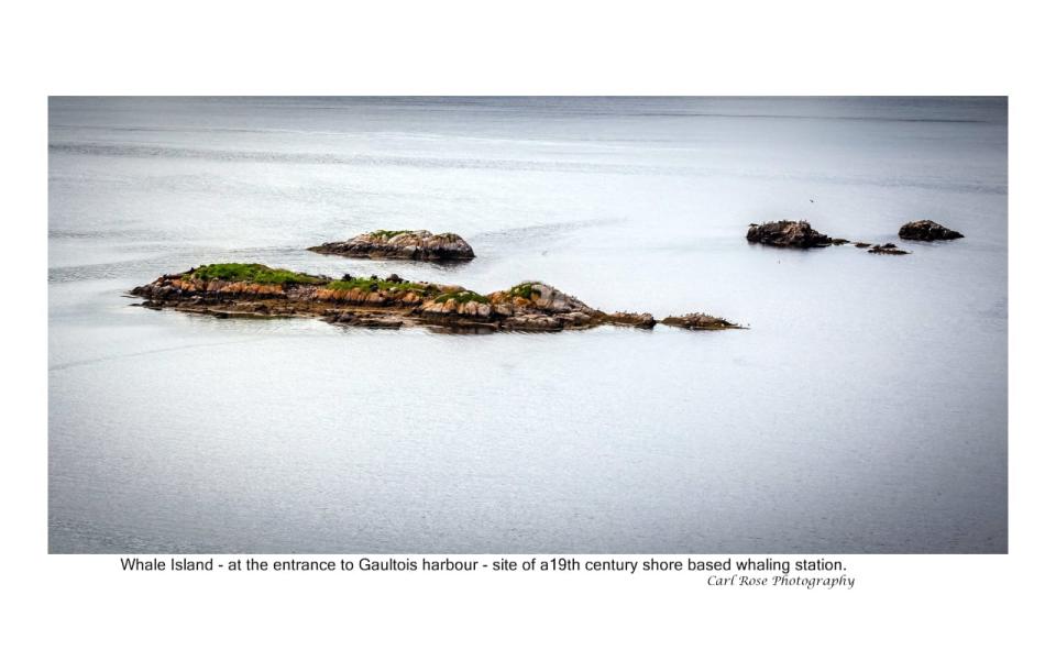 Whale Island, at the entrance to Gaultois Harbour, was the site of a 19th century shore-based whaling station.