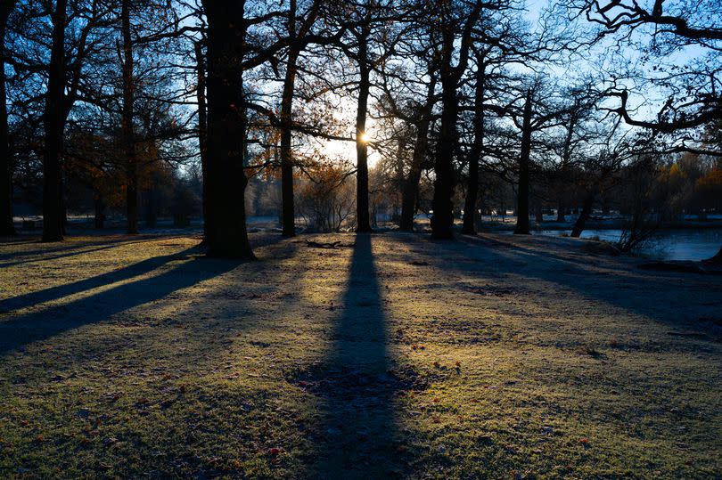 Dunham Massey park -Credit:Andy Stenning/Daily Mirror