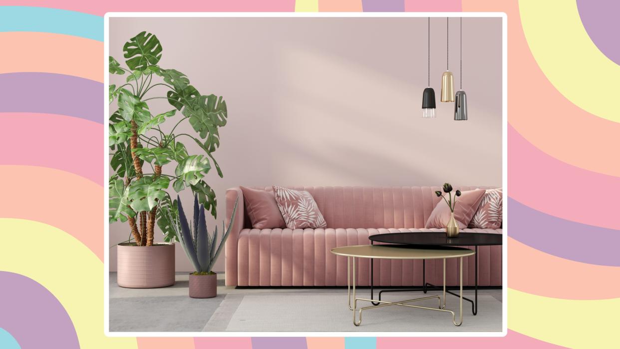  A rainbow background with a photo of a living room with a pink sofa surrounded by green pot plants. 