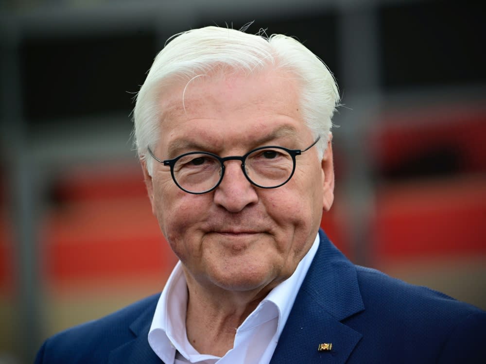 Bundespräsident Steinmeier (Tobias SCHWARZ)